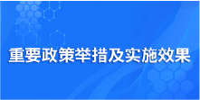 重要政策举措及实施效果