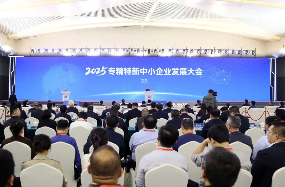 李乐成出席2025专精特新中小企业发展大会并调研专精特新“小巨人”企业